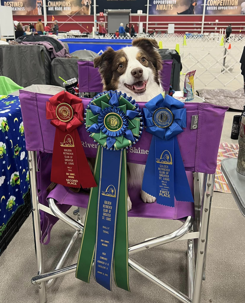 Captain shown with his Rally Championship ribbons.