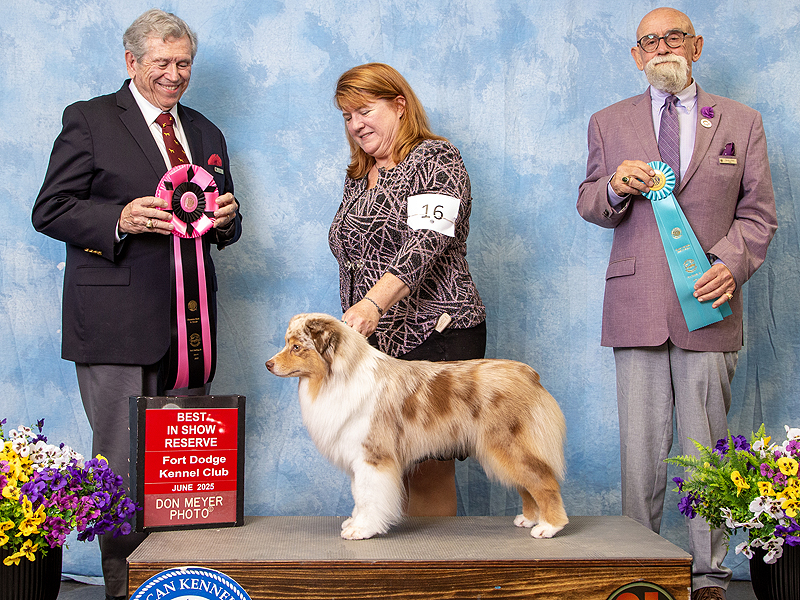 Naughty Reserved Best In Show, Owner Handler Best In Show Naughty Reserved Best In Show, Owner Handler Best In Show