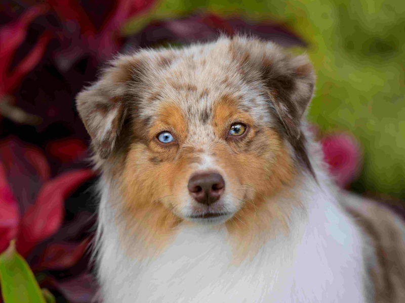 Naughty's pretty face. Naughty's pretty face.