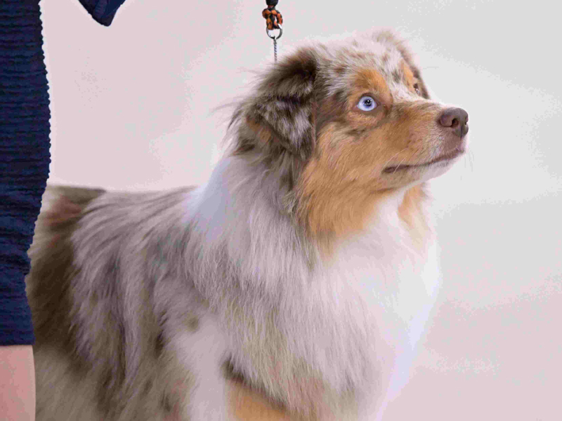 Naughty pretty head picture. Naughty pretty head picture.